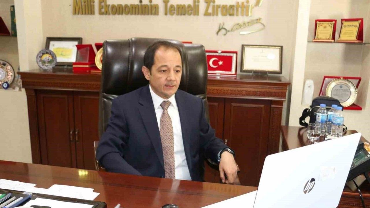 Erzincan’da Büyükbaş Hayvanların Yüzde 96.82’si Şap Hastalığına Karşı Aşılandı