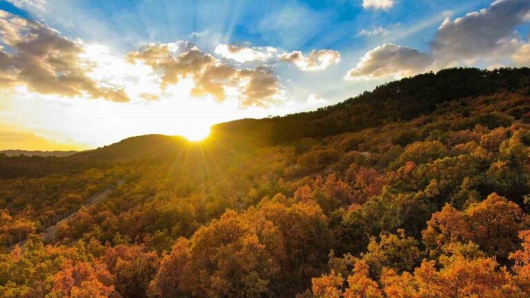 Erzincan’da Hazan Mevsimi Güzelliği