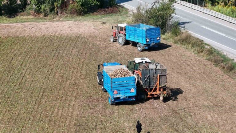 Erzincan’ın Bereketli Topraklarında Pancar Hasadı Başladı