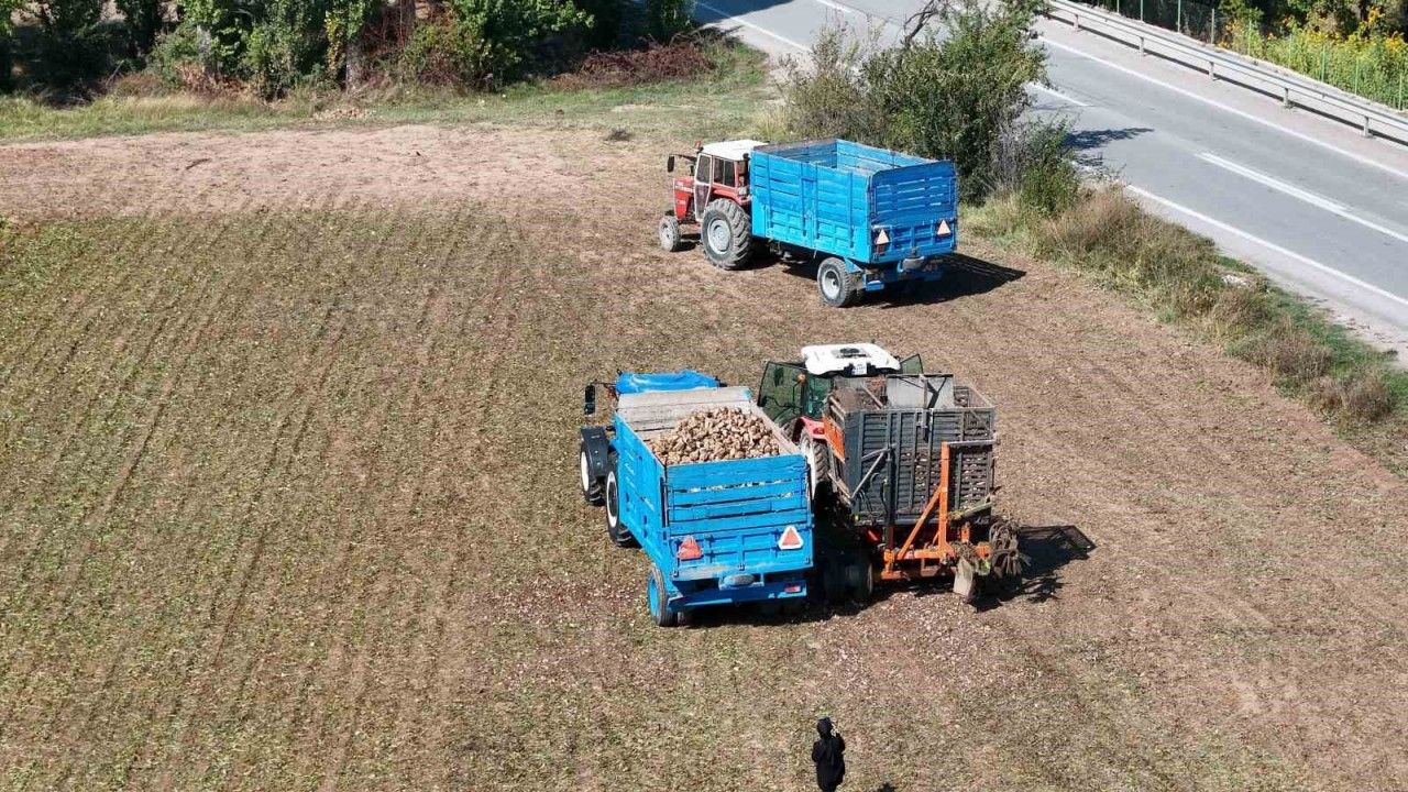 Erzincan’ın Bereketli Topraklarında Pancar Hasadı Başladı
