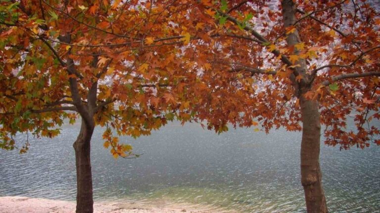 Fırat’ın Sessiz Akışına Sonbahar Renk Kattı