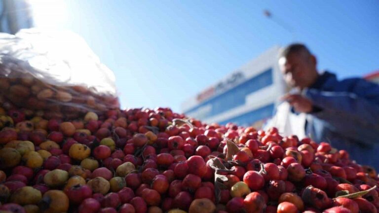 ’Seyyar doktor’ Dağ Bitkileriyle Şifa Dağıtıyor