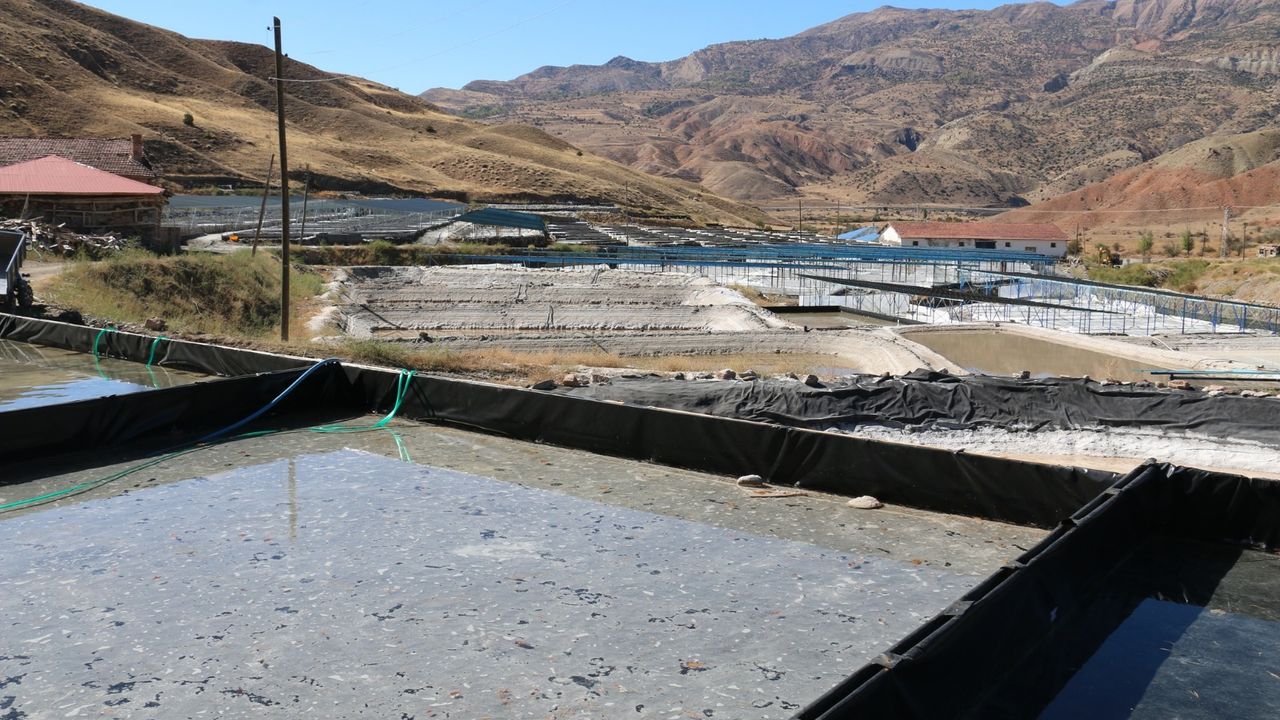 Yerin Altından Gelen Doğal Lezzet