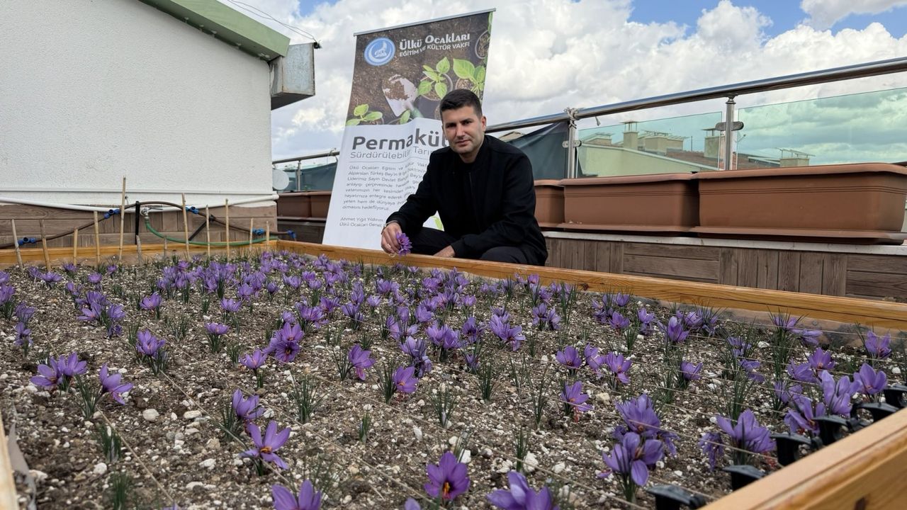 “Her Yer Permakültür Alanına Dönüşebilir”