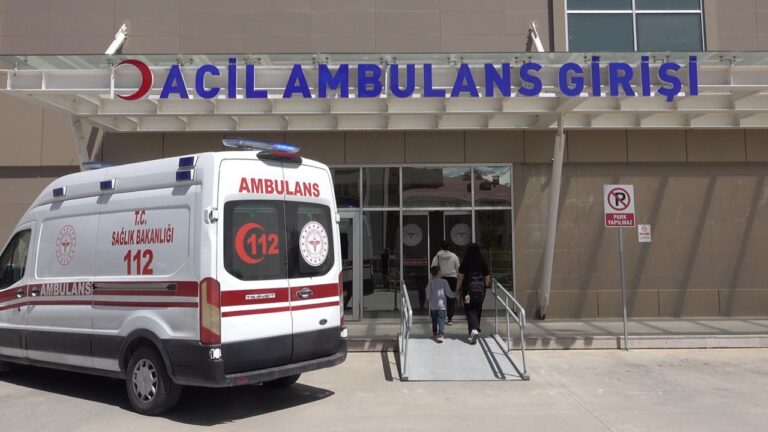 Ahmediye Geçidinde Kaza; 2 si Çocuk 4 Yaralı