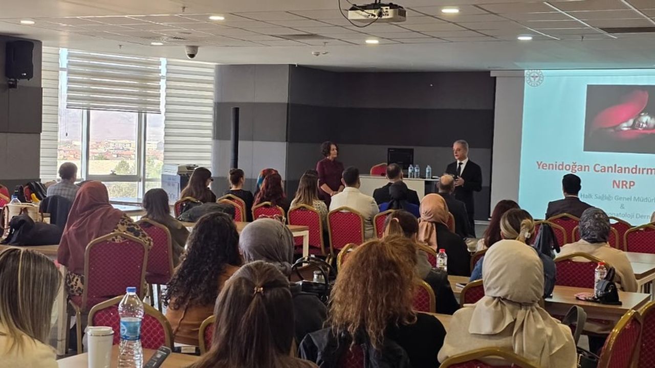 Yeni Doğan Canlandırma Programı