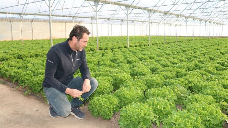 Erzincan’da Üretiyor, Bölgeye Satıyor