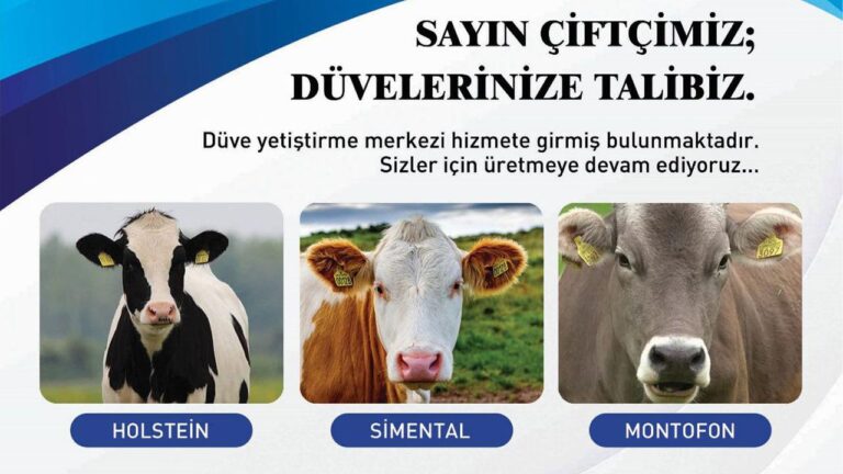 Erzincan’da Düve Yetiştirme Merkezi Hizmete Girdi