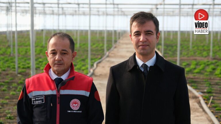 Erzincan Toplu Sera Bölgesinde Çalışmalar Hızla İlerliyor