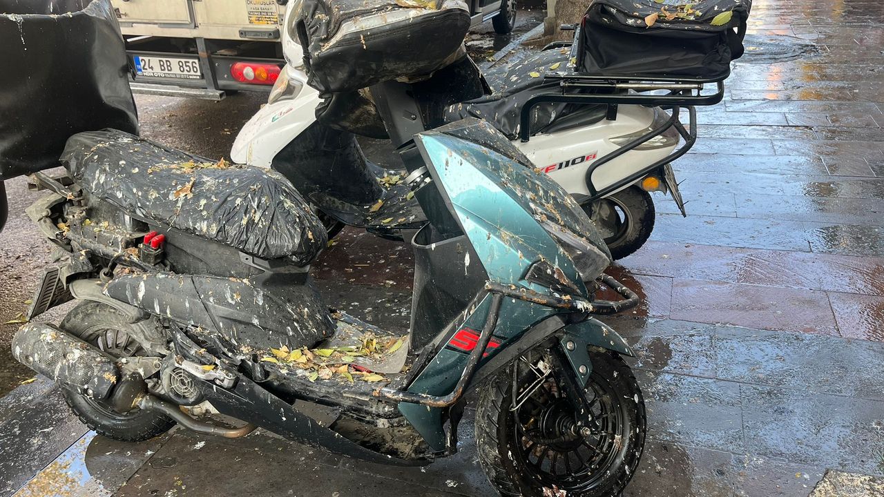 Ordu Caddesi’nde Karga Terörü: Motoru Tanınmaz Hâle Getirdiler