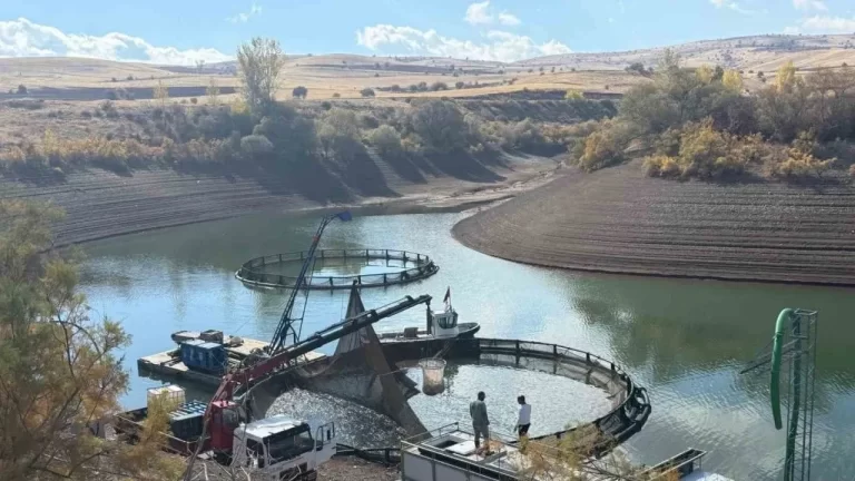 KUDAKA 2025 Ekim Ayı Fizibilite Desteği Programını Açıkladı