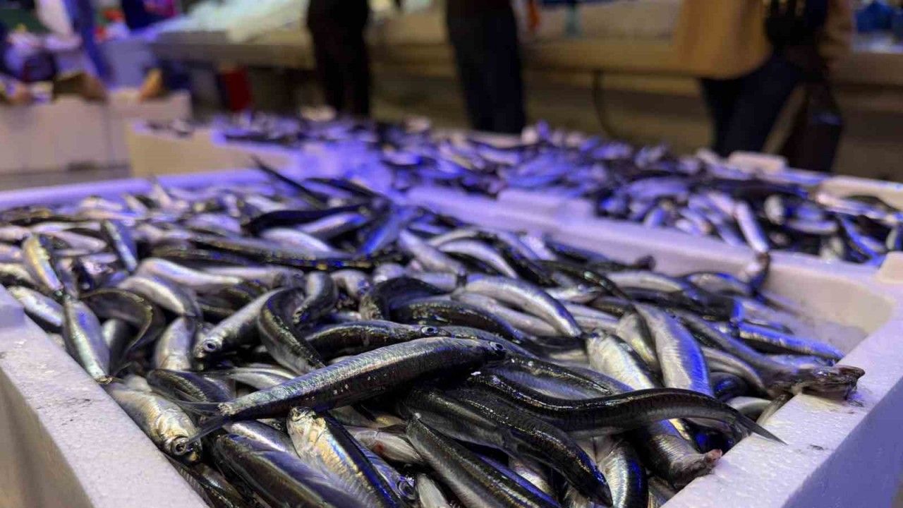 Trabzon’dan Gelen Taze Balıklar Erzincan’da İlgi Görüyor