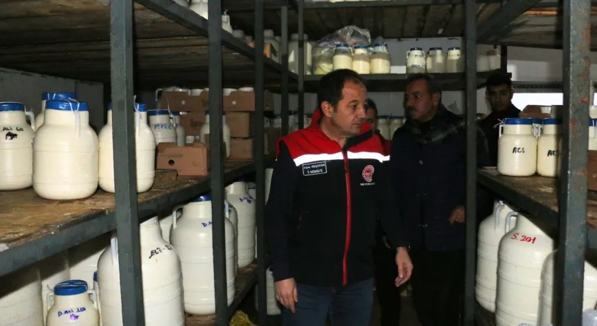 Erzincan Tulum Peyniri İçin Sahada İnceleme: Geleneksel Lezzet Geleceğe Taşınıyor