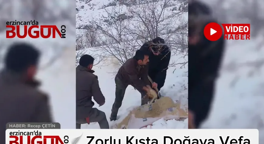 Erzincan’da Doğaya Vefa: Zorlu Kış Şartlarında Yaban Hayvanlarına Yem Desteği