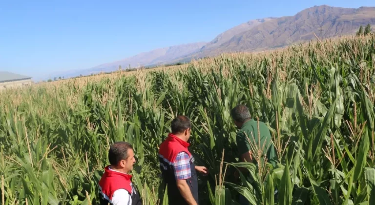 Erzincan’da Yem Bitkilerinde Tarihi Artış: Destek Bütçesi %373 Yükseldi
