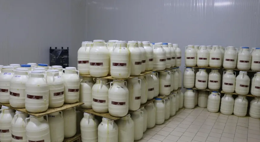 Erzincan Tulum Peyniri İçin Yerinde İnceleme: Üretimde Katma Değer Artıyor