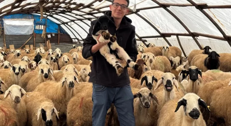 Erzincan’da Küçükbaşa Dev Destek: Başvurular Başladı