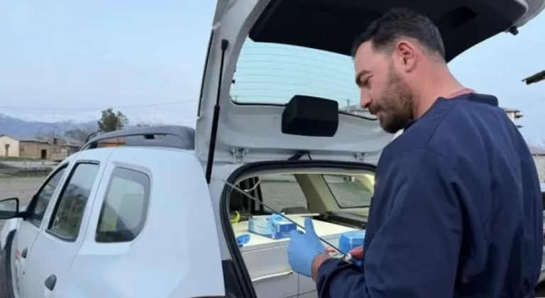 Hayvancılığa Verimlilik Desteği: Suni Tohumlama Çalışmaları Sürüyor