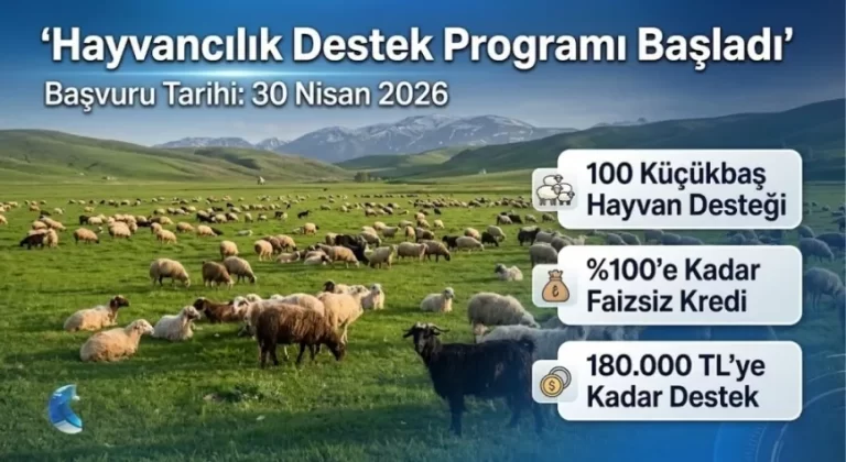 Hayvancılık Destek Programı Başvuruları Başladı