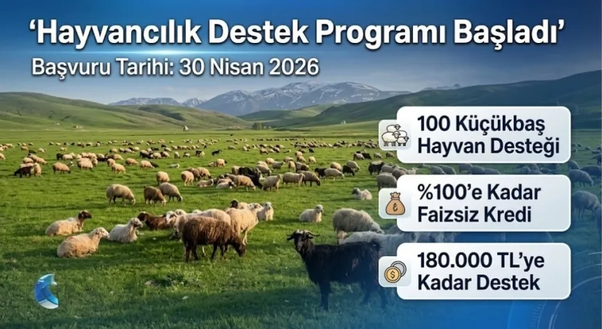 Hayvancılık Destek Programı Başvuruları Başladı