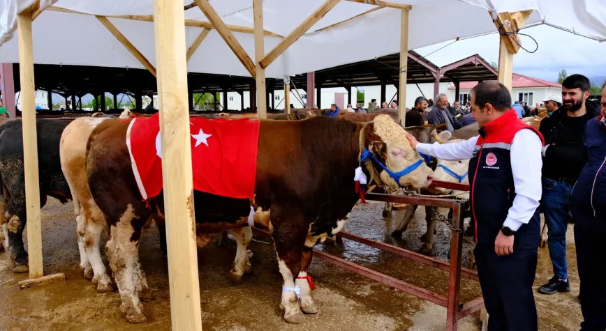 Erzincan Hayvan Pazarı’nda Bayram Hareketliliği Başladı