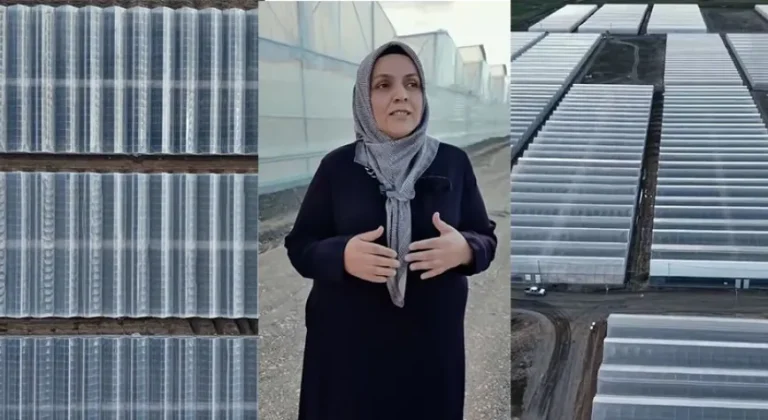 Erzincan Toplu Sera Bölgesi’nde Üretim Başladı: 500 Kişiye İstihdam Hedefi