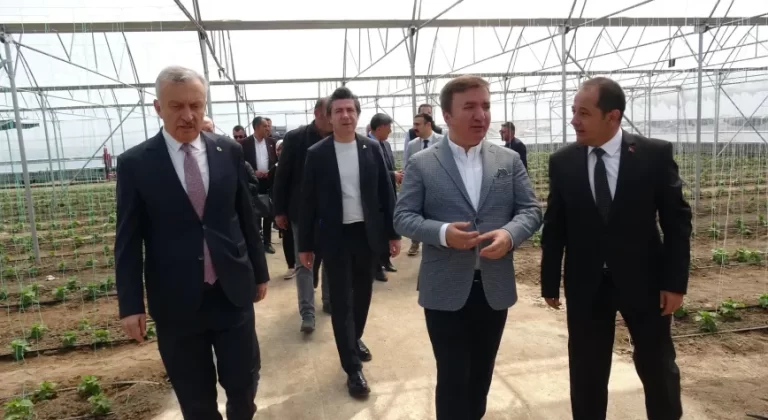 Erzincan’da Tarımda Dev Hamle: 600 Dönümlük Toplu Sera Bölgesi Hizmete Açıldı
