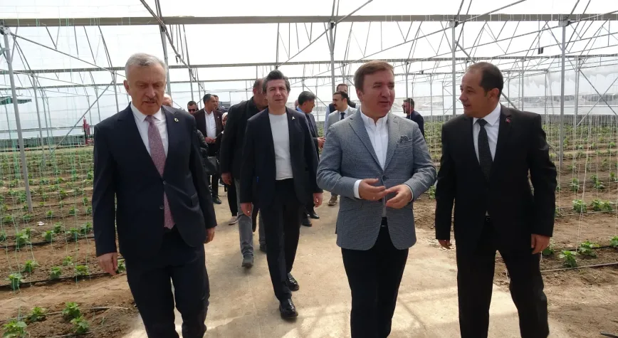 Erzincan’da Tarımda Dev Hamle: 600 Dönümlük Toplu Sera Bölgesi Hizmete Açıldı