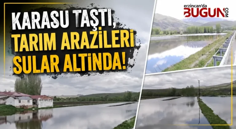 Karasu Taştı, 200 Dönümlük Tarım Arazisi Sular Altında Kaldı