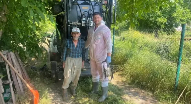 Erzincan'da Büyükbaş Hayvanlara Yerinde Tırnak Bakımı Hizmeti