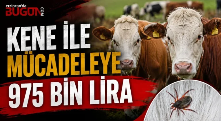 Erzincan’da Kene ile Mücadeleye 975 Bin Liralık Destek