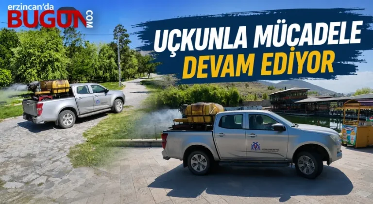 Karasinek ve Sivrisinekle Mücadele Aralıksız Sürüyor