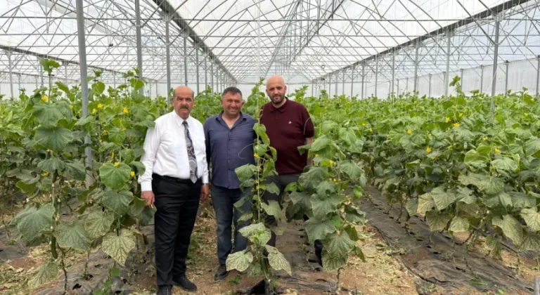 Süleyman Tan’dan Sera Üreticilerine Ziyaret: “Üretmek Bir Milletin Onurudur”
