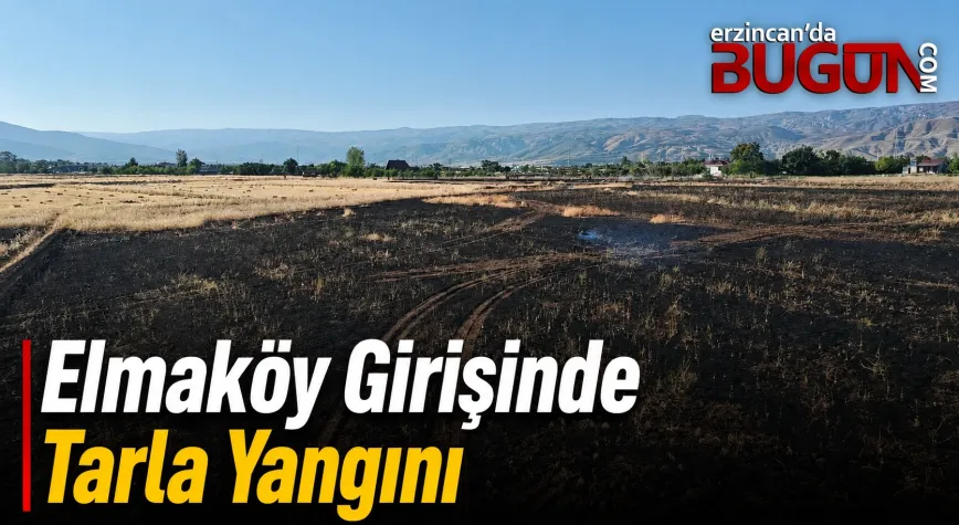 Erzincan’da Tarla Yangını: Alevler Saman Balyalarına Ulaşmadan Söndürüldü