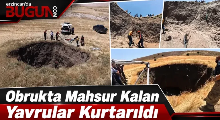 İliç’te Obruğa Düşen Yaban Domuzu Yavruları Kurtarıldı