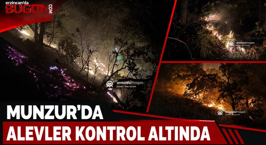 Munzur Vadisi Millî Parkı’ndaki Orman Yangını Kontrol Altına Alındı