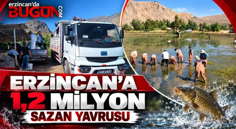 Erzincan’ın Sularına 1 Milyon 200 Bin Sazan Yavrusu
