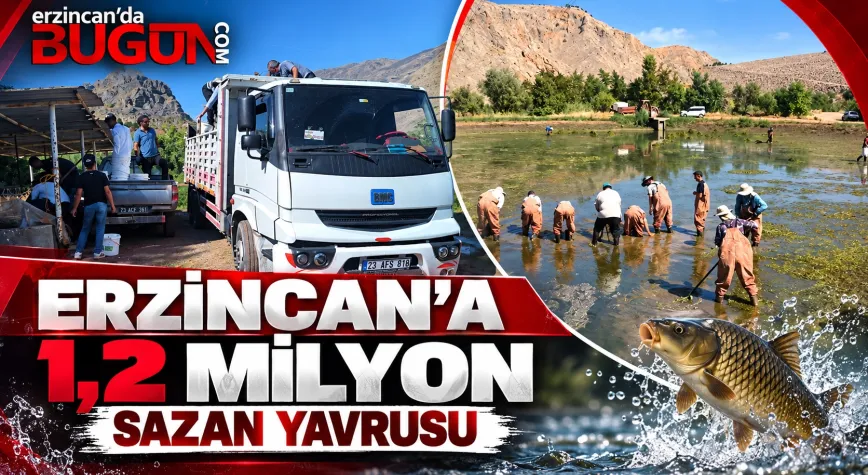Erzincan’ın Sularına 1 Milyon 200 Bin Sazan Yavrusu